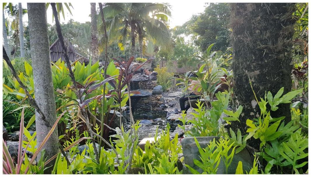 Baan Sakuna Chiang Khong Bagian luar foto